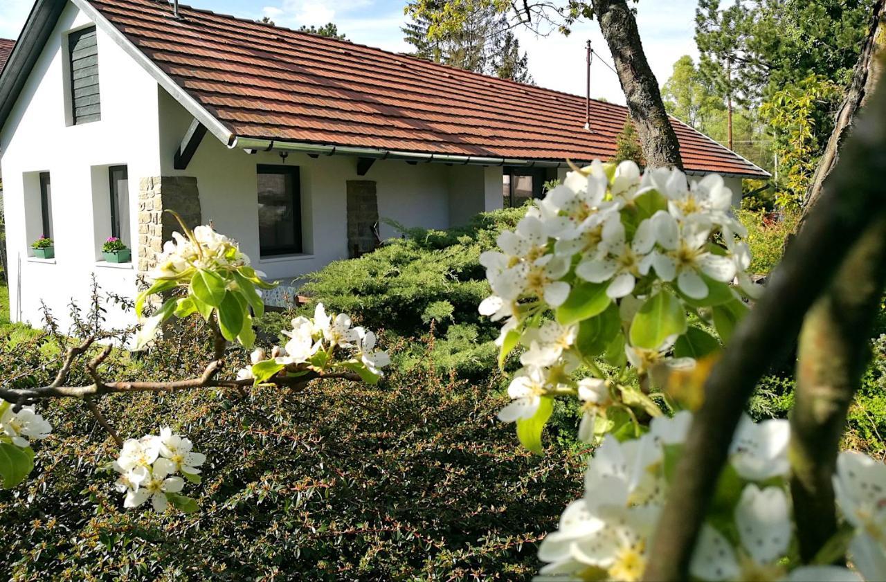 Palkovics Vendeghaz Dunabogdany Dunabogdány Exterior foto