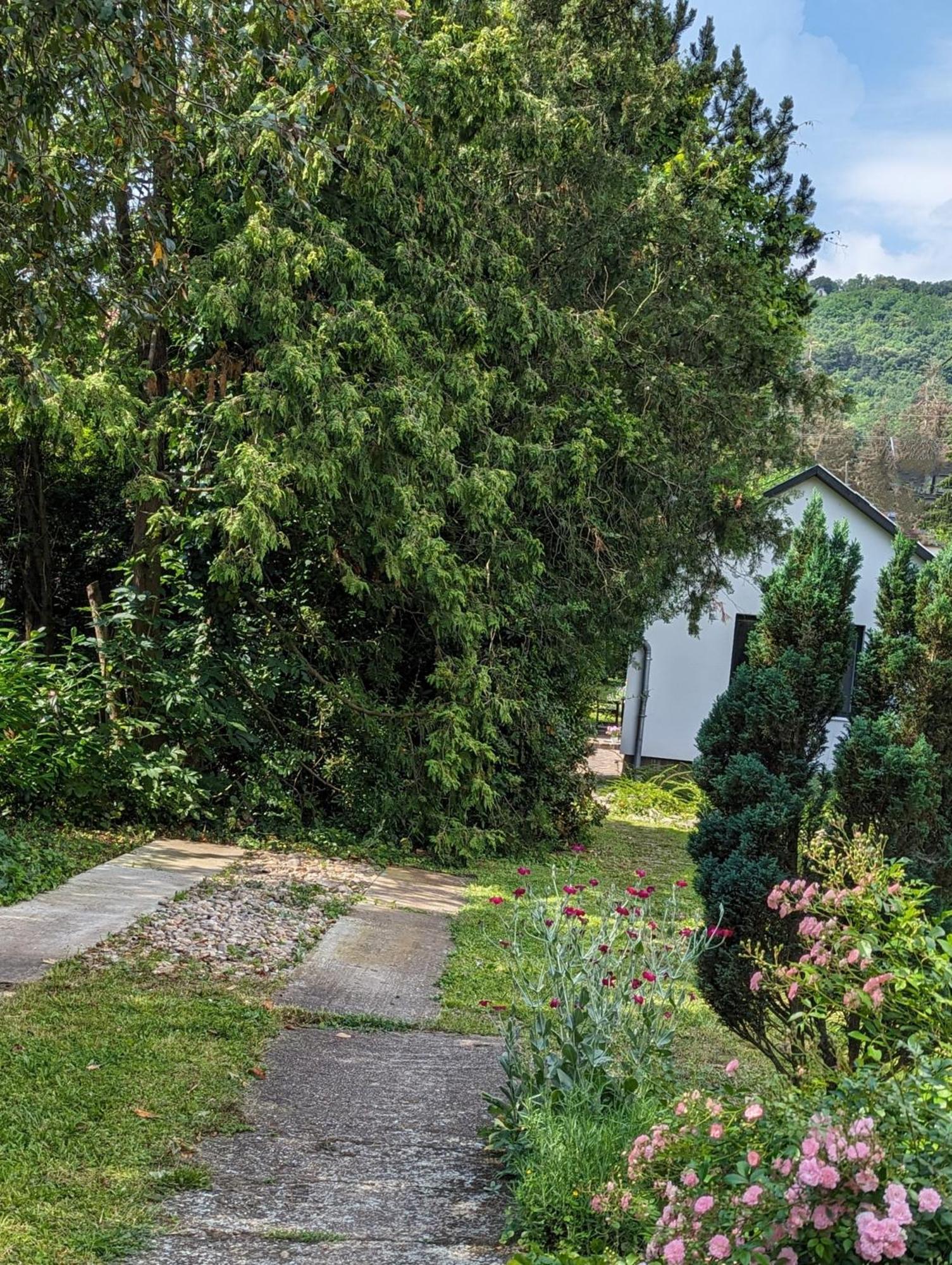 Palkovics Vendeghaz Dunabogdany Dunabogdány Exterior foto