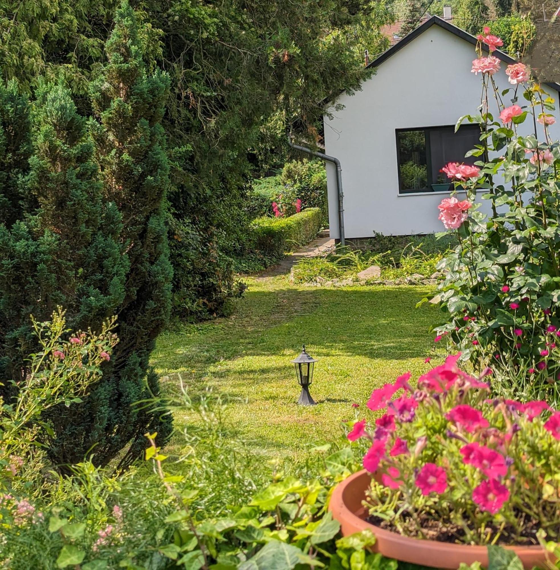 Palkovics Vendeghaz Dunabogdany Dunabogdány Exterior foto